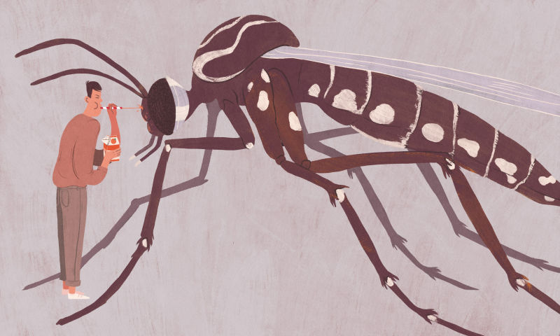 Illustration for article titled Qué ocurriría en el planeta si el hombre consigue extinguir a todas las especies de mosquitos